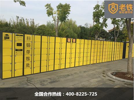 武漢園博園電音節老鐵寄存柜