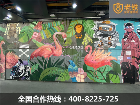 福田莉莉瑪蓮老鐵智能寄存柜