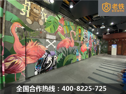 福田莉莉瑪蓮老鐵智能儲物柜